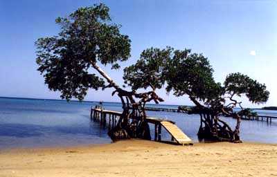 Bay Islands